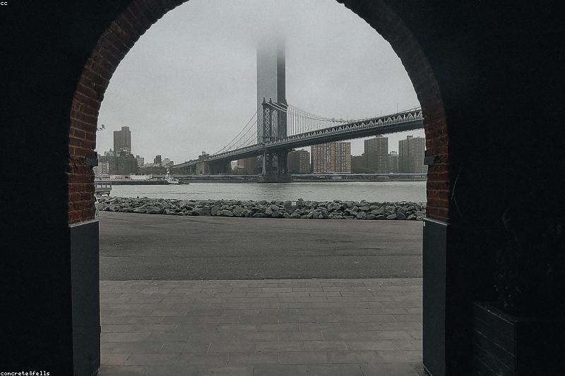 New York City food scene